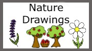 easy step by step nature drawing - EasystepDrawing